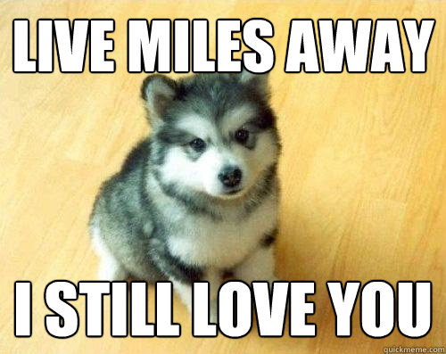 Live miles away i Still love you  Baby Courage Wolf