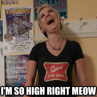 I'm so high right meow  