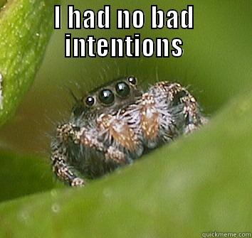 I HAD NO BAD INTENTIONS  Misunderstood Spider