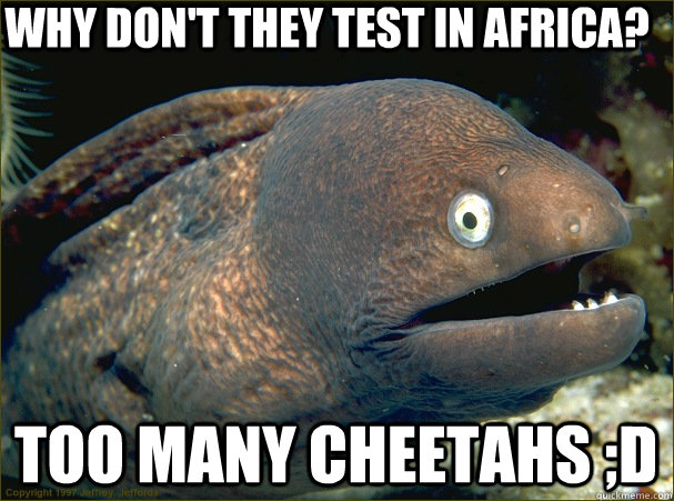 Why don't they test in Africa? Too many cheetahs ;D  Bad Joke Eel