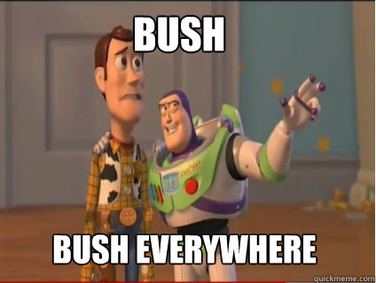 BUSH BUSH EVERYWHERE  woody and buzz