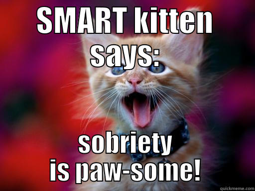 SMART KITTEN SAYS: SOBRIETY IS PAW-SOME! Misc