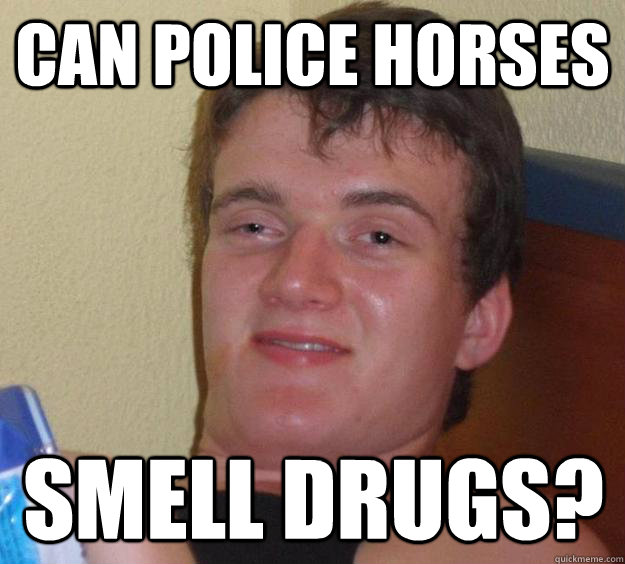 Can police horses smell drugs? - Can police horses smell drugs?  10 Guy