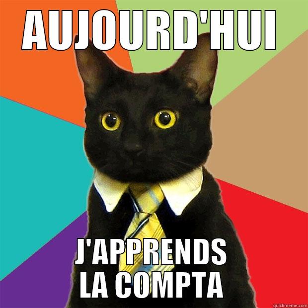 AUJOURD'HUI J'APPRENDS LA COMPTA Business Cat