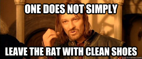 One does not simply Leave the rat with clean shoes  One Does Not Simply