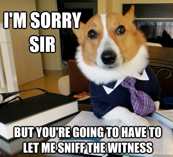 i'm sorry sir but you're going to have to let me sniff the witness - i'm sorry sir but you're going to have to let me sniff the witness  Lawyer Dog