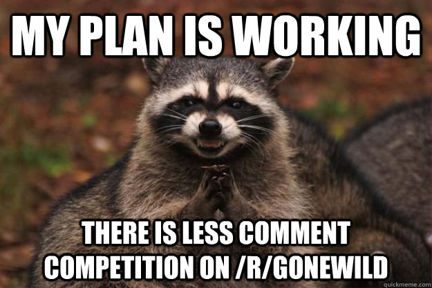 my plan is working there is less comment competition on /r/gonewild - my plan is working there is less comment competition on /r/gonewild  Evil Plotting Raccoon