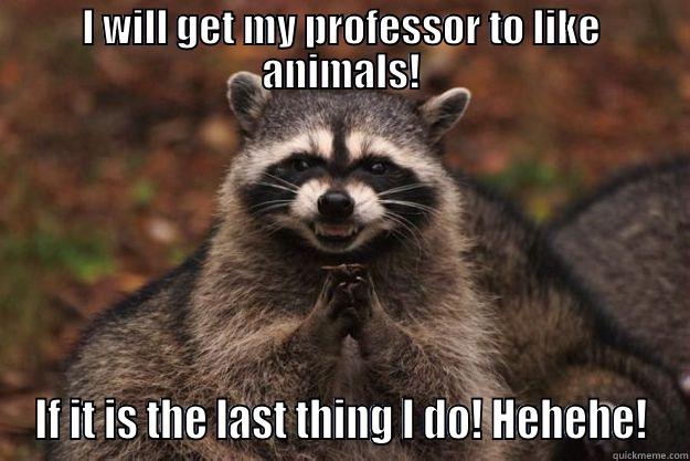 I WILL GET MY PROFESSOR TO LIKE ANIMALS! IF IT IS THE LAST THING I DO! HEHEHE! Evil Plotting Raccoon