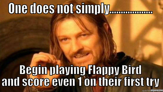 ONE DOES NOT SIMPLY................... BEGIN PLAYING FLAPPY BIRD AND SCORE EVEN 1 ON THEIR FIRST TRY Misc