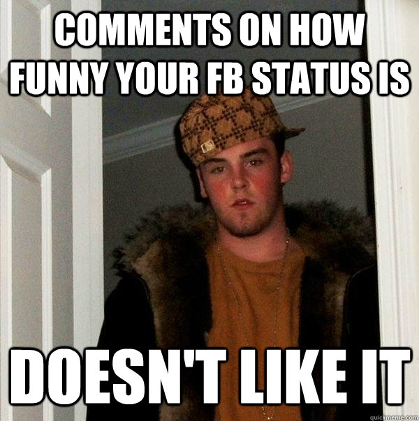 comments on how funny your fb status is doesn't like it  Scumbag Steve