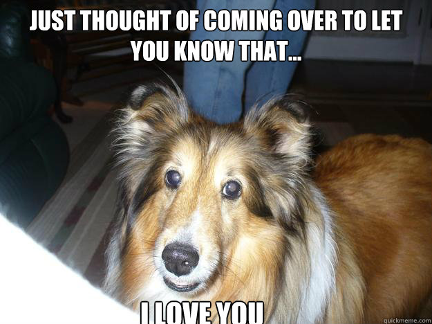 Just thought of coming over to let you know that... I LOVE YOU - Just thought of coming over to let you know that... I LOVE YOU  Mini lassie