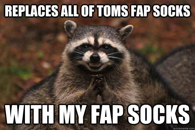 Replaces all of Toms fap socks With my fap socks - Replaces all of Toms fap socks With my fap socks  Evil Plotting Raccoon