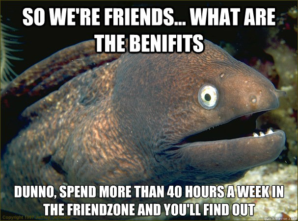 So we're friends... what are the benifits Dunno, spend more than 40 hours a week in the friendzone and you'll find out  Bad Joke Eel