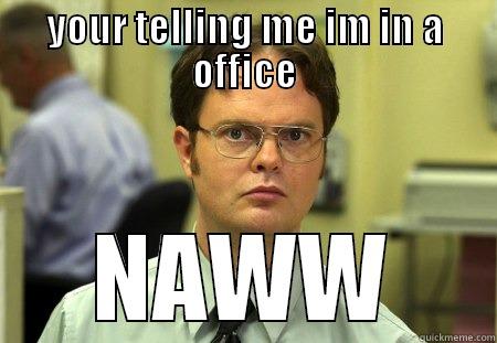 YOUR TELLING ME IM IN A OFFICE NAWW Schrute