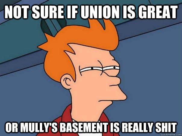 Not sure if union is great or mully's basement is really shit - Not sure if union is great or mully's basement is really shit  Futurama Fry