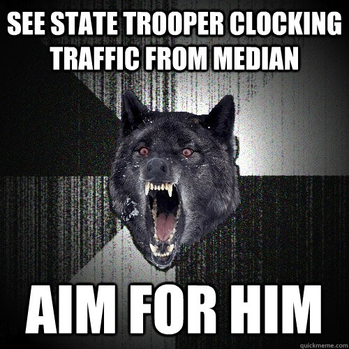 see state trooper clocking traffic from median aim for him  Insanity Wolf