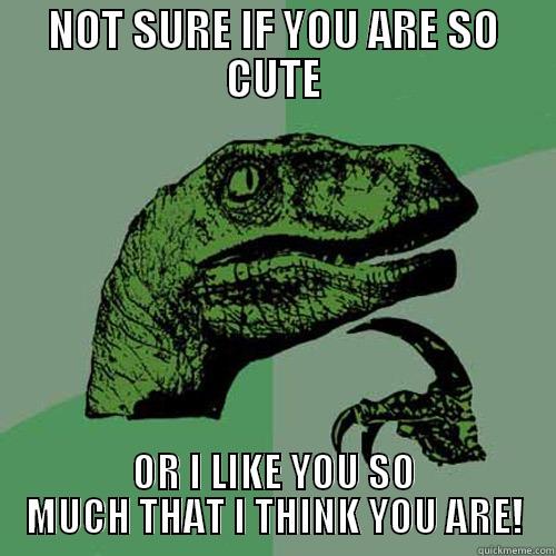 NOT SURE IF YOU ARE SO CUTE OR I LIKE YOU SO MUCH THAT I THINK YOU ARE! Philosoraptor