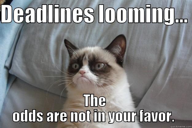 DEADLINES LOOMING...  THE ODDS ARE NOT IN YOUR FAVOR.  Grumpy Cat