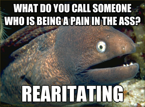 What do you call someone who is being a pain in the ass? rearitating  Bad Joke Eel