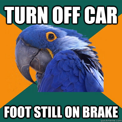 TURN OFF CAR FOOT STILL ON BRAKE  Paranoid Parrot