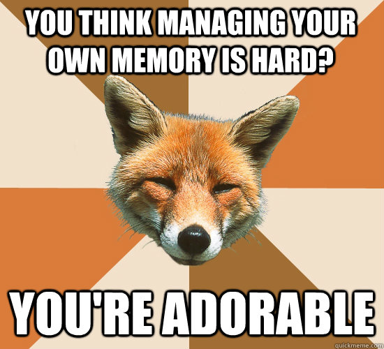 You think managing your own memory is hard? You're adorable  Condescending Fox