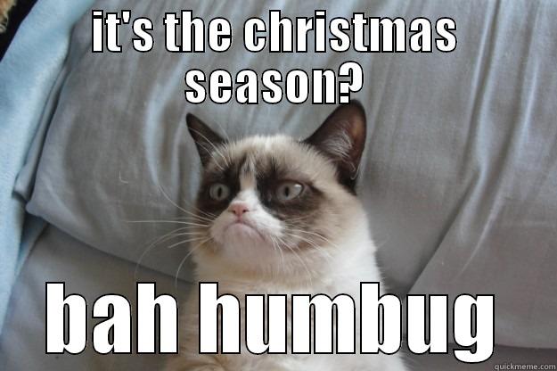 IT'S THE CHRISTMAS SEASON? BAH HUMBUG Grumpy Cat