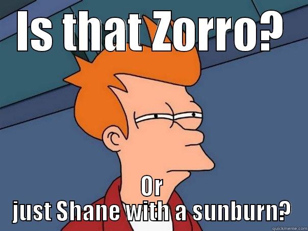 IS THAT ZORRO? OR JUST SHANE WITH A SUNBURN? Futurama Fry