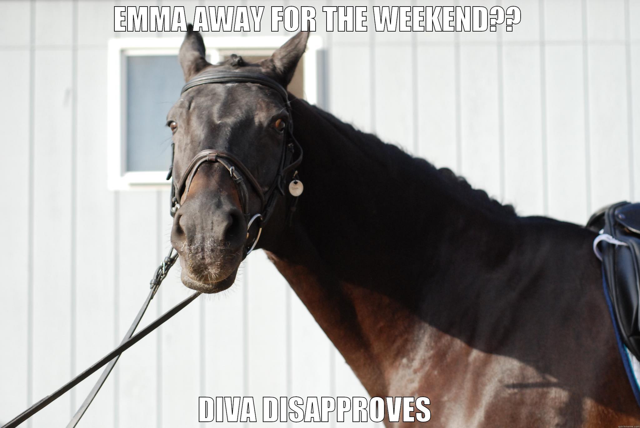 EMMA AWAY FOR THE WEEKEND?? DIVA DISAPPROVES  Misc