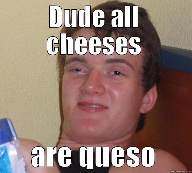 DUDE ALL CHEESES ARE QUESO 10 Guy