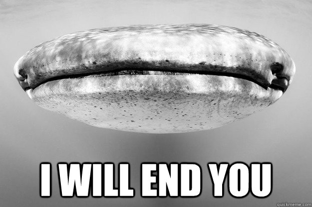  i will end you -  i will end you  Misc