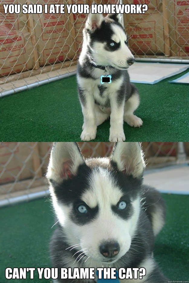 you said I ate your homework? can't you blame the cat?  Insanity puppy