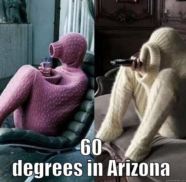 Funny Sweater -  60 DEGREES IN ARIZONA Misc