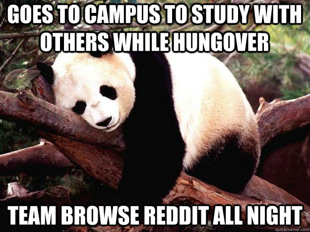 GOES TO CAMPUS TO STUDY WITH OTHERS WHILE HUNGOVER TEAM BROWSE REDDIT ALL NIGHT  Procrastination Panda