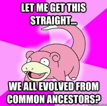 Let me get this straight... We all evolved from common ancestors? - Let me get this straight... We all evolved from common ancestors?  Slowpoke