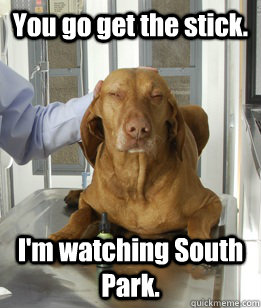 You go get the stick. I'm watching South Park.  