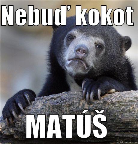 NEBUĎ KOKOT  MATÚŠ Confession Bear