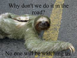 Why don't we do it in the road? No one will be watching us.  Creepy Sloth