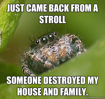 Just came back from a stroll Someone destroyed my house and family.  Misunderstood Spider