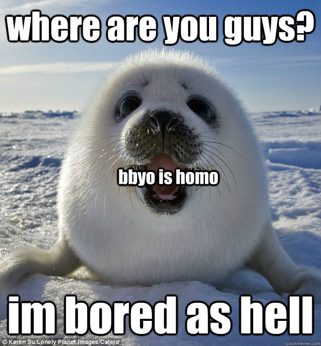 where are you guys? im bored as hell bbyo is homo - where are you guys? im bored as hell bbyo is homo  Easily Pleased Seal