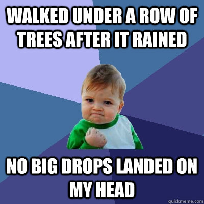 walked under a row of trees after it rained No Big Drops landed On My Head - walked under a row of trees after it rained No Big Drops landed On My Head  Success Kid