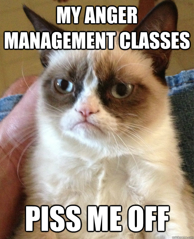 My anger management classes Piss me off  Grumpy Cat