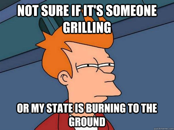 Not sure if it's someone grilling Or my state is burning to the ground  Futurama Fry