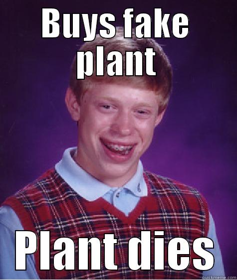 BUYS FAKE PLANT PLANT DIES Bad Luck Brian