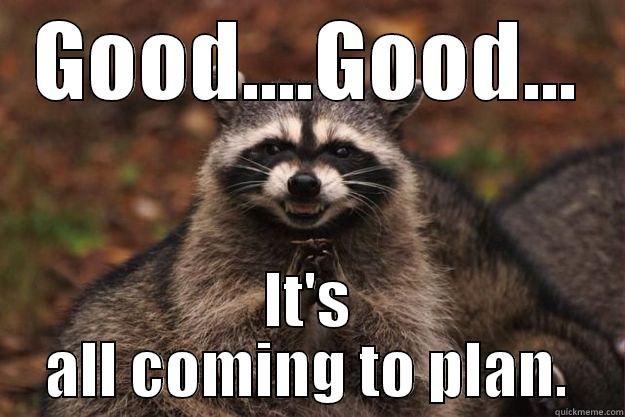 GOOD....GOOD... IT'S ALL COMING TO PLAN. Evil Plotting Raccoon