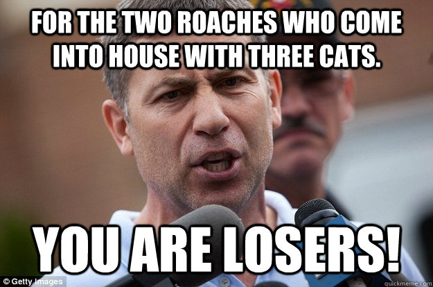 for the two roaches who come into house with three cats. you are losers!  Uncle Ruslan