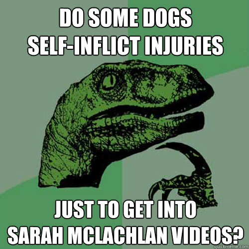 Do some dogs 
self-inflict injuries Just to get into
Sarah McLachlan videos?  Philosoraptor