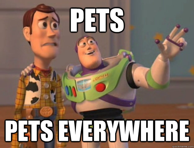 Pets Pets everywhere   Buzz Lightyear