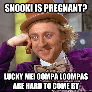 Snooki is pregnant? Lucky me! Oompa loompas are hard to come by  Condescending Wonka