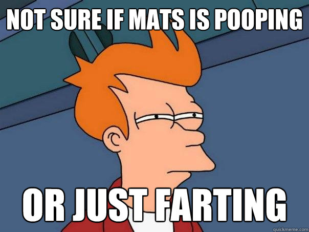 Not sure if mats is pooping or just farting  Futurama Fry