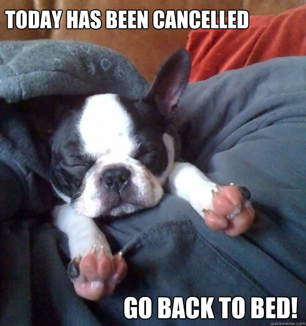 TODAY HAS BEEN CANCELLED GO BACK TO BED! - TODAY HAS BEEN CANCELLED GO BACK TO BED!  Cancellation by Punkinhead Allison